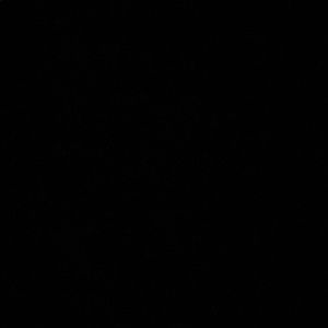 Meet your Posher, Karlee